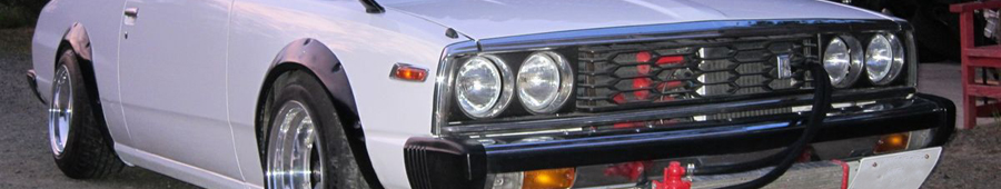 GC210/211 SKYLINE ジャパン